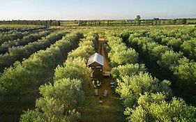 Olive Grove Retreat 2 By Tiny Away